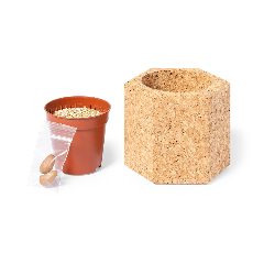 Vaso - Gulytel – foto 4