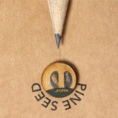 Lápis Sementes - Etesio – foto 5