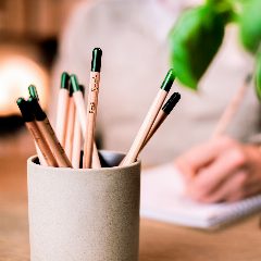 Sprout – foto 4
