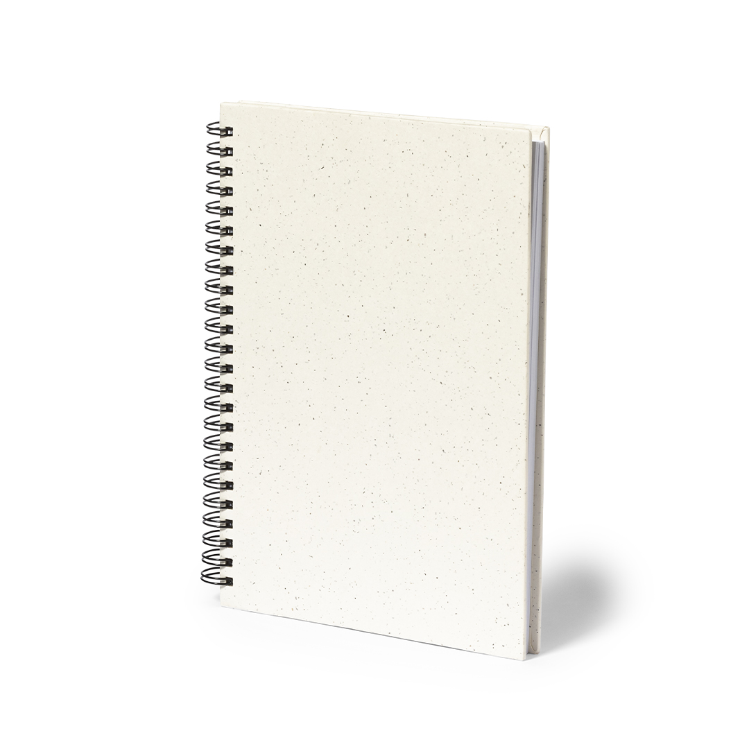 Caderno - Hantiz