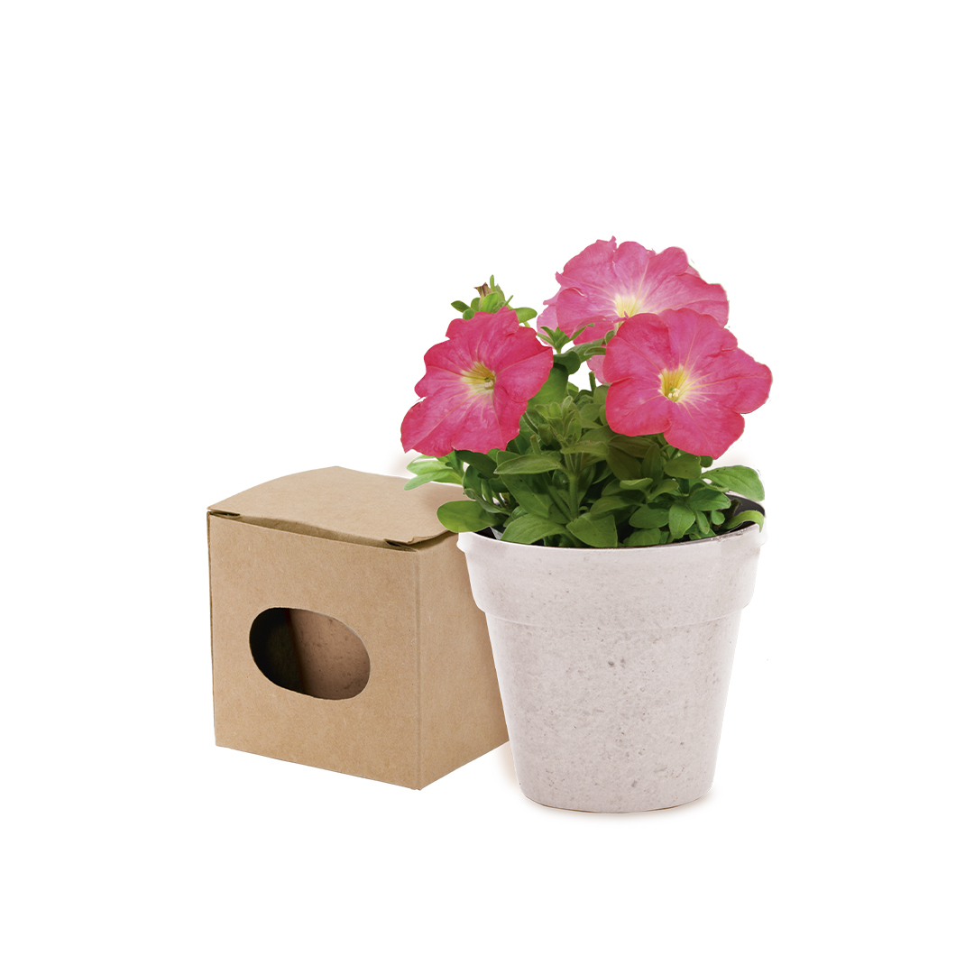 Vaso - Advert